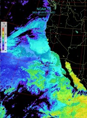 NOAA 15 sea